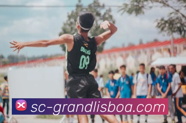 奖项证书